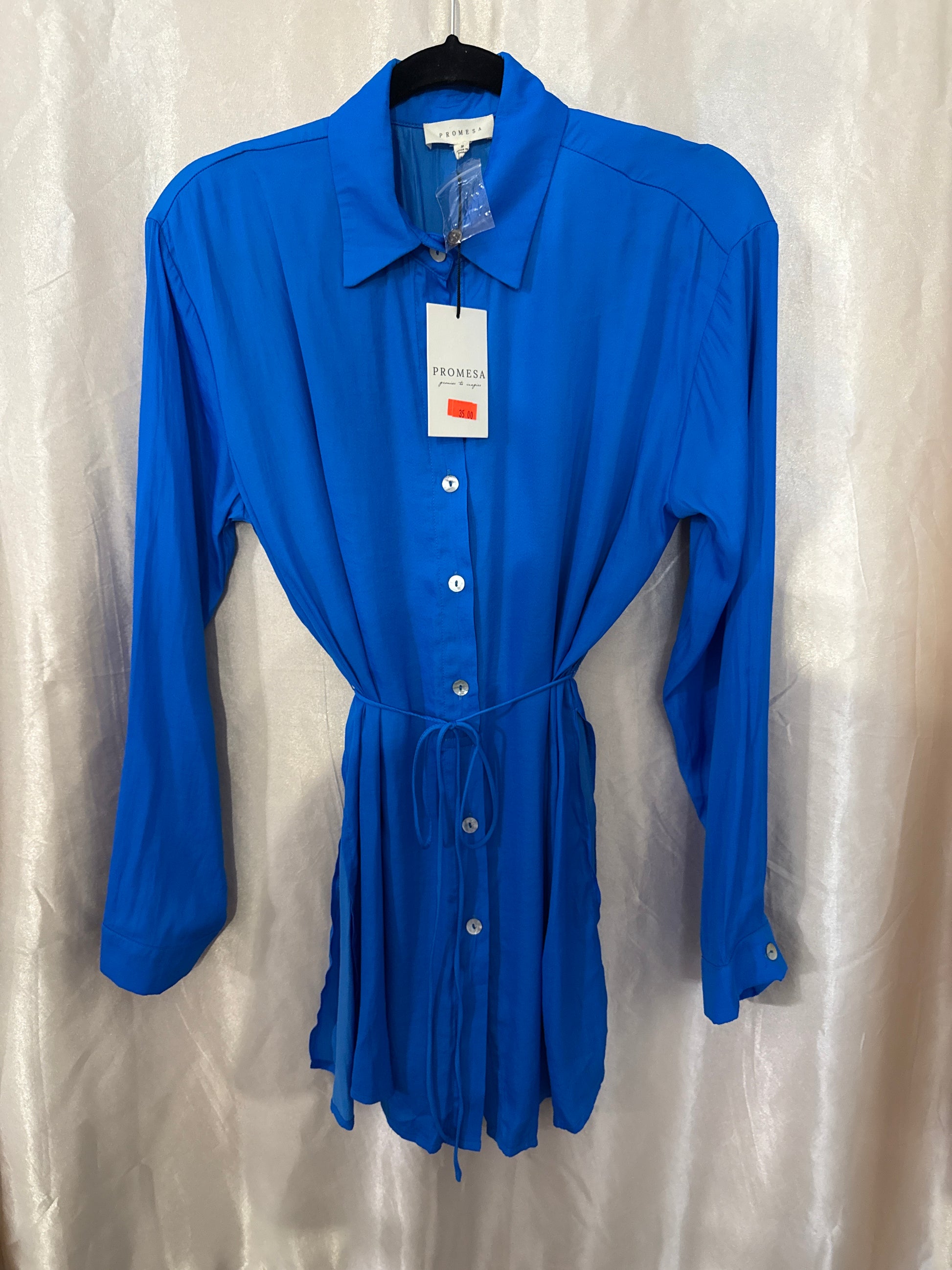Blue Tunic