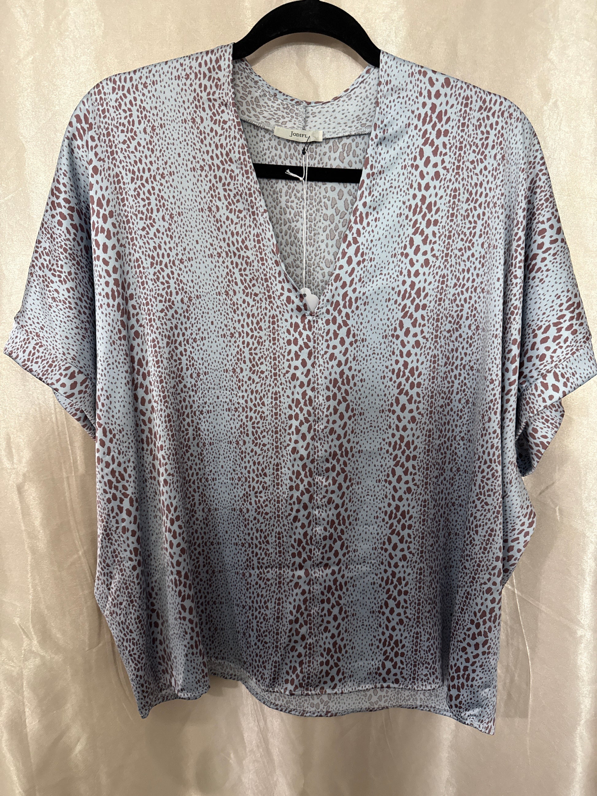 Blue Spotted V-Neck Top