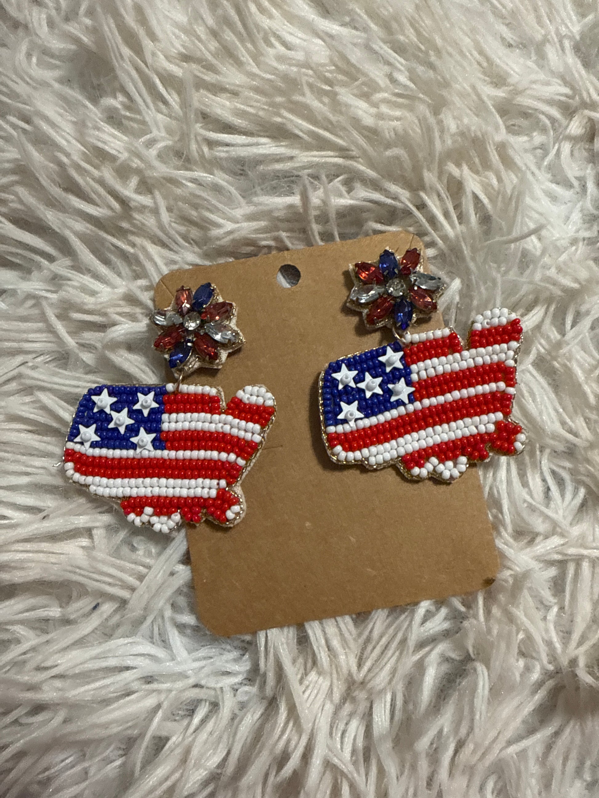 United States of America Dangle Earrings
